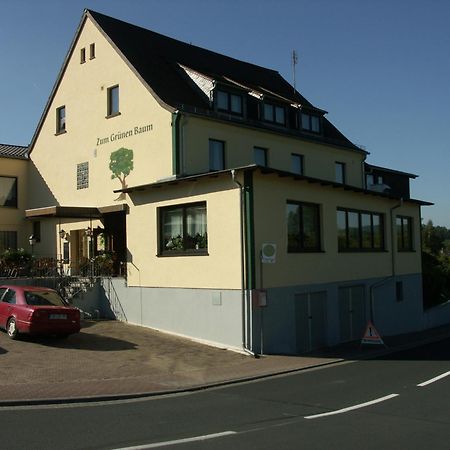 فندق Restaurant Gruener Baum Leidersbach المظهر الخارجي الصورة