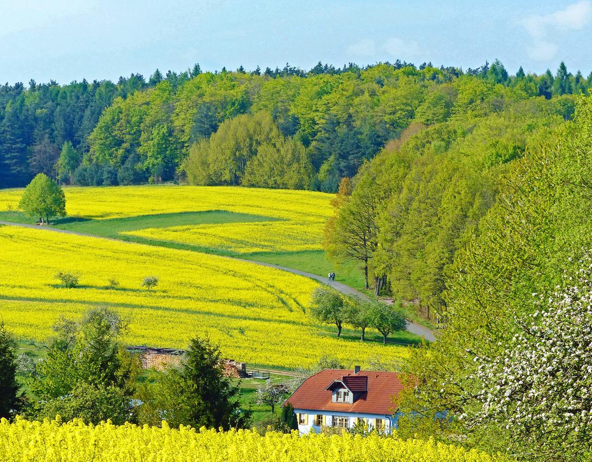 فندق Restaurant Gruener Baum Leidersbach المظهر الخارجي الصورة