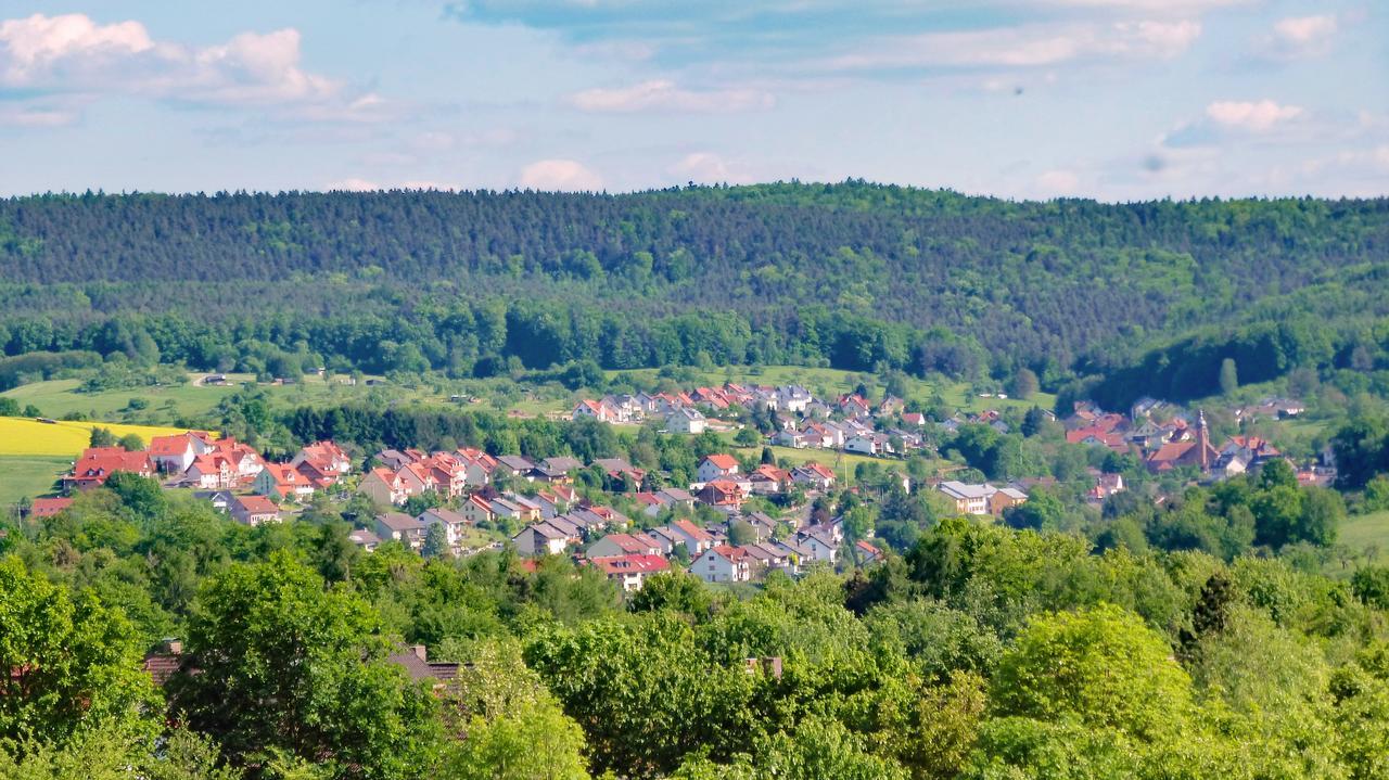 فندق Restaurant Gruener Baum Leidersbach المظهر الخارجي الصورة